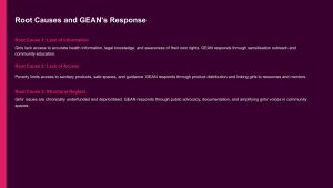 GEAN Grant Pitch.pptx.pptx (5)